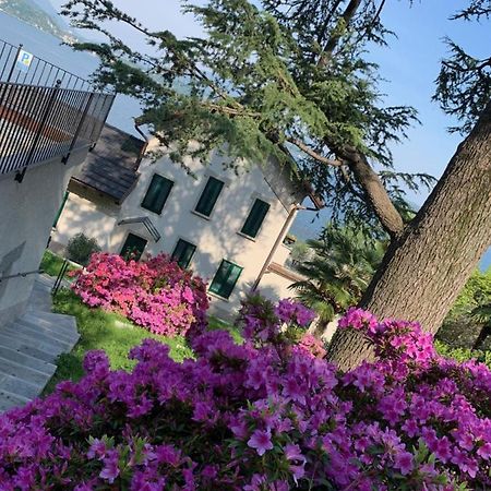 Giardini Magnolia Apartamento Belgirate Exterior foto
