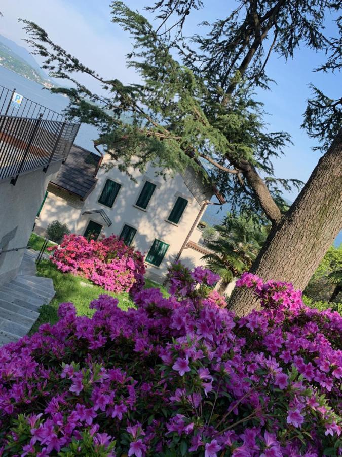Giardini Magnolia Apartamento Belgirate Exterior foto